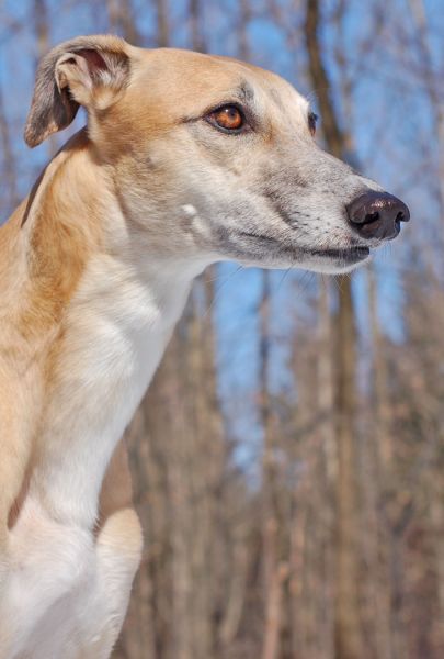 files/_uploads/es taut/ChoiKopf2.jpg