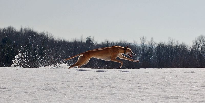 files/_uploads/es taut/ChoianderKante.jpg