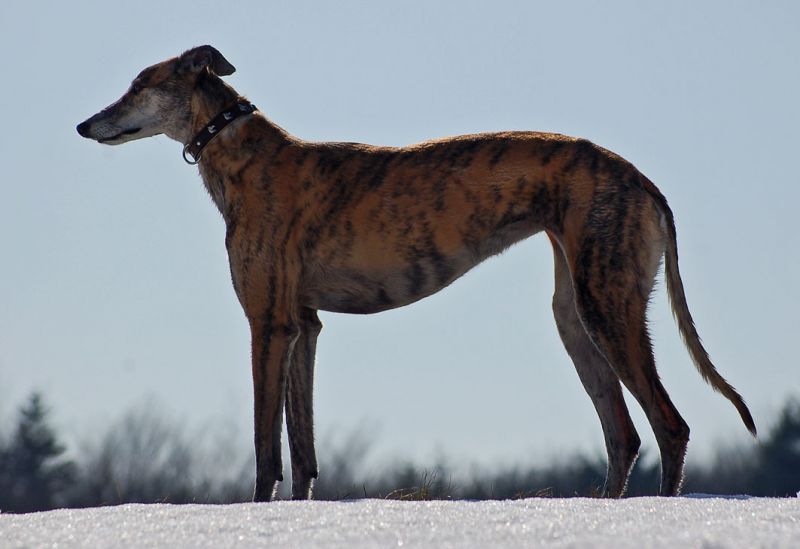 files/_uploads/es taut/WallGegenlichtStand.jpg