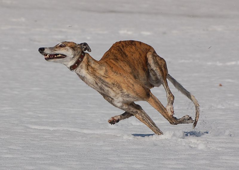 files/_uploads/es taut/WallKlappt1.jpg