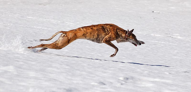 files/_uploads/es taut/Wallgestreckt1.jpg