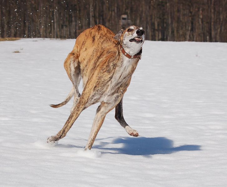 files/_uploads/es taut/Wallleftright.jpg